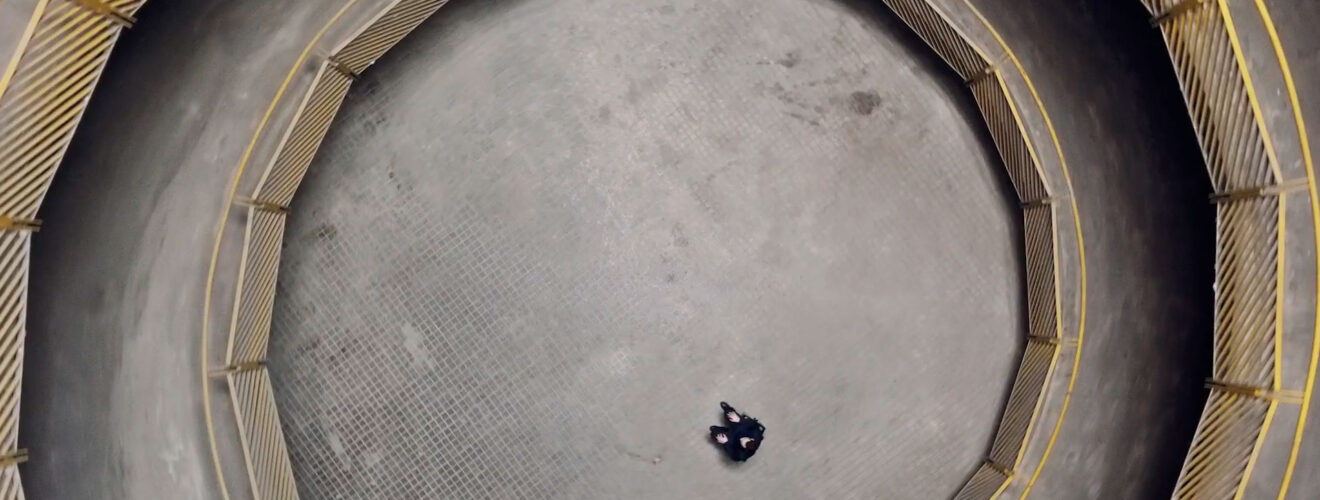 Juan J. Ochoa: IN PROGRESS